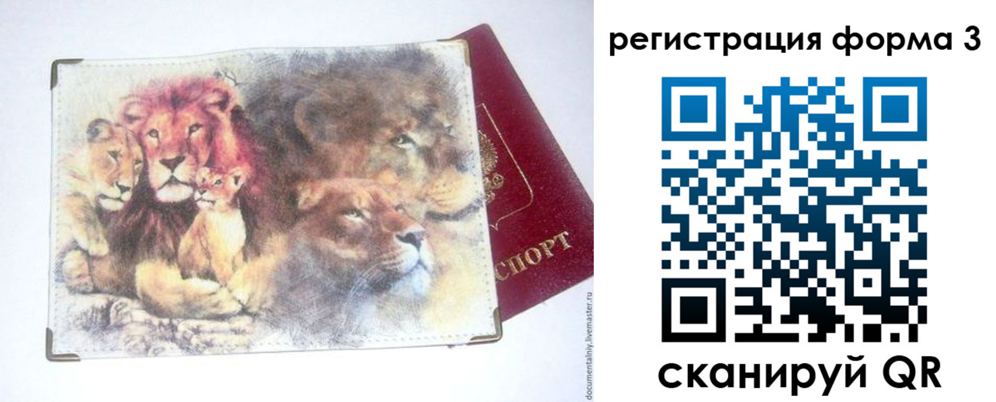 прописка в квартире в Вологодской области